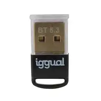 iggual IGG319383 tarjeta y adaptador de interfaz Interno Bluetooth