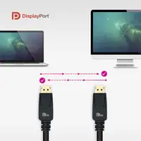 Nanocable 10.15.2503 cable DisplayPort 3 m Negro