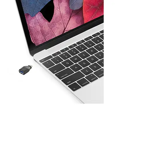 Ewent EW-100518-000-N-P cambiador de género para cable USB 3.1 Type C USB 3.1 Type