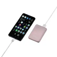 Intenso XS5000 Polímero de litio 5000 mAh Rosa