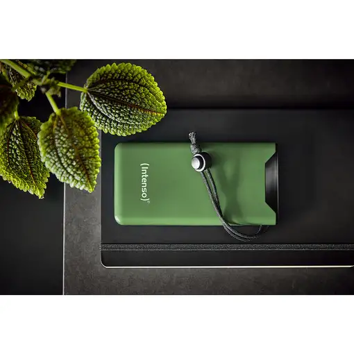 Intenso 7332037 batería externa Polímero de litio 10000 mAh Verde