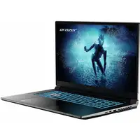 Erazer MD62596 Intel® Core™ i5 i5-12450H Portátil 43,9 cm (17.3'') Full HD 16 GB DD
