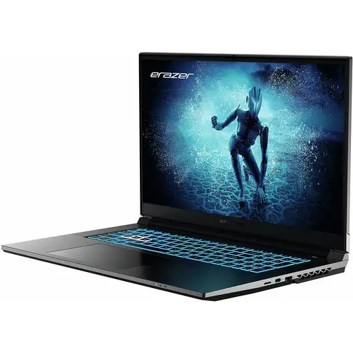 Erazer MD62596 Intel® Core™ i5 i5-12450H Portátil 43,9 cm (17.3'') Full HD 16 GB DD