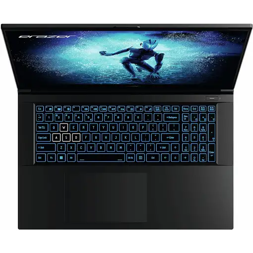 Erazer MD62596 Intel® Core™ i5 i5-12450H Portátil 43,9 cm (17.3'') Full HD 16 GB DD
