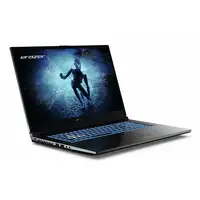 Erazer MD62596 Intel® Core™ i5 i5-12450H Portátil 43,9 cm (17.3'') Full HD 16 GB DD