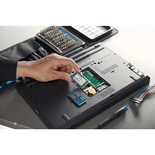 Kingston Technology Disco SSD KC600 SATA3 mSATA de 1024 G