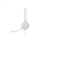 Lenovo GXD1E71385 auricular y casco Auriculares Alámbrico Muñeca Llamadas/Música U