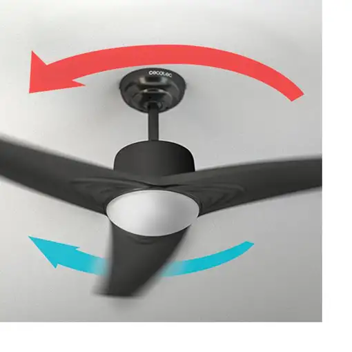 Cecotec 05943 ventilador Carbón vegetal, Gris