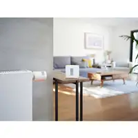 Netatmo NBU-NTH-NAV termoestato RF Transparente, Blanco