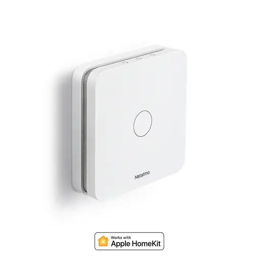 Netatmo NCO-IT Carbon Monoxide Detector detector de gas Monóxido de carbono (CO)