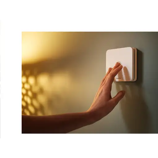 Netatmo NCO-IT Carbon Monoxide Detector detector de gas Monóxido de carbono (CO)
