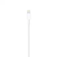 Apple Cable de conector Lightning a USB (1 m)