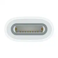 Apple USB-C to Pencil Adapter Blanco 1 pieza(s)