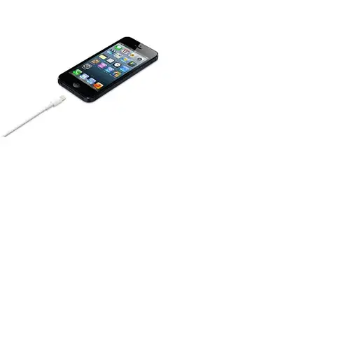 Apple Lightning / USB 0,5 m Blanco