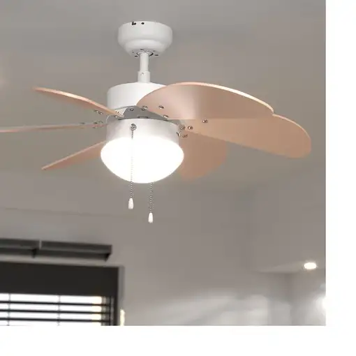 Cecotec 05966 ventilador Naranja, Blanco