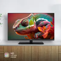 Panasonic TV-24S50AEZ Televisor 61 cm (24'') HD Smart TV Negro