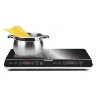 G3 Ferrari G10047 hobs Negro Encimera 60 cm Con placa de inducción 2 zona(s)