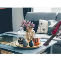 Hoover HF1 HF110P 011 Aspiradora escoba Batería Secar Tela Sin bolsa 0,9 L Magenta