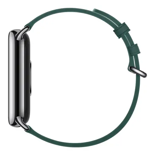 Xiaomi BHR7308GL Accesorios para dispositivos vestibles inteligentes Grupo de rock