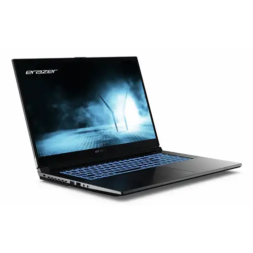 Erazer MD62652 Intel® Core™ i5 i5-12450H Portátil 43,9 cm (17.3") Full HD 16 GB DD