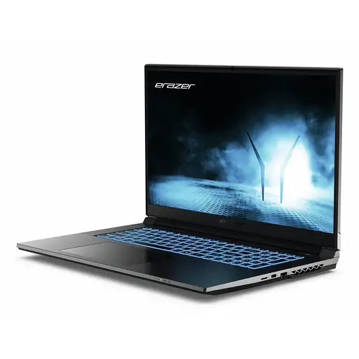 Erazer MD62652 Intel® Core™ i5 i5-12450H Portátil 43,9 cm (17.3") Full HD 16 GB DD
