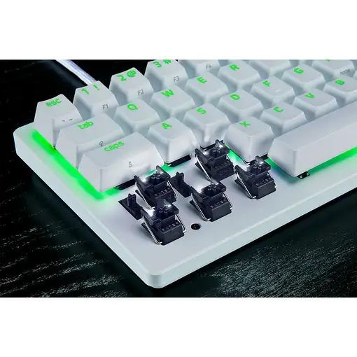 Razer RZ03-04990100-R3M1 teclado Juego USB QWERTY Inglés internacional Blanco
