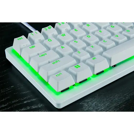 Razer RZ03-04990100-R3M1 teclado Juego USB QWERTY Inglés internacional Blanco