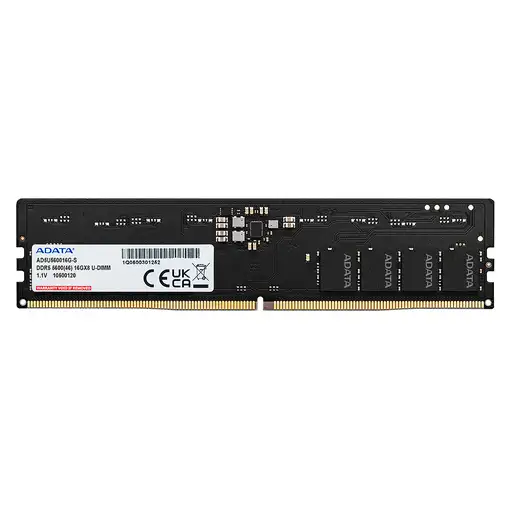 ADATA AD5U560032G-DT módulo de memoria 64 GB 2 x 32 GB DDR5 5600 MHz