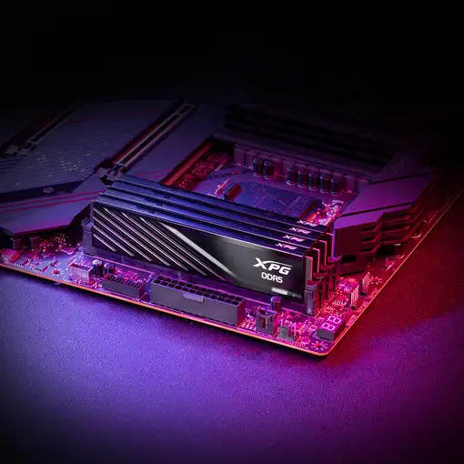 XPG LANCER BLADE DDR5 módulo de memoria 32 GB 2 x 16 GB 6000 MHz ECC