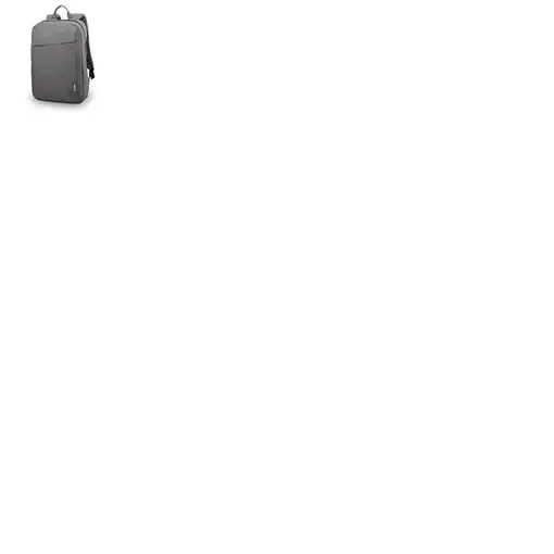 Lenovo B210 39,6 cm (15.6") Mochila Gris