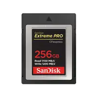 SanDisk SDCFE-256G-GN4NN memoria flash 256 GB CFexpress