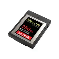 SanDisk SDCFE-256G-GN4NN memoria flash 256 GB CFexpress