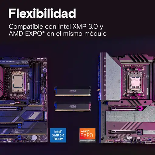 Crucial Pro OC módulo de memoria 64 GB 2 x 32 GB DDR5 6000 MHz