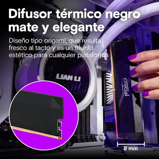 Crucial Pro OC módulo de memoria 64 GB 2 x 32 GB DDR5 6000 MHz