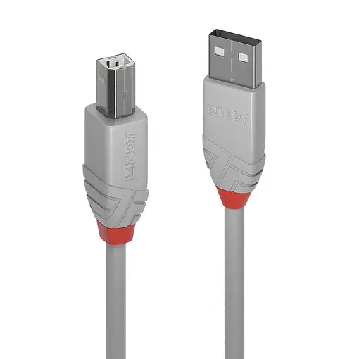 Lindy 36681 cable USB USB 2.0 0,5 m USB A USB B Gris
