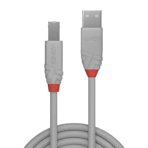Lindy 36681 cable USB USB 2.0 0,5 m USB A USB B Gris