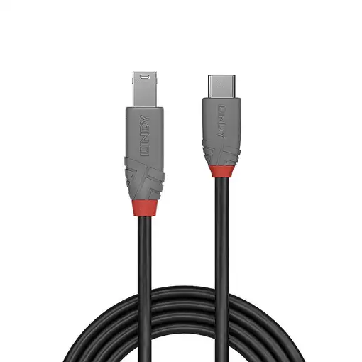 Lindy 36666 cable USB USB 3.2 Gen 1 (3.1 Gen 1) 1 m USB C USB B Negro