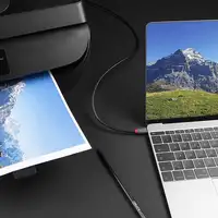 Lindy 36943 cable USB USB 2.0 3 m USB C USB B Negro