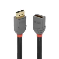 Lindy 36495 cable DisplayPort 0,5 m Negro