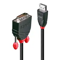 Lindy 41491 adaptador de cable de vídeo 2 m DisplayPort DVI-D Negro