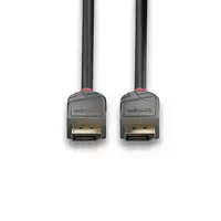 Lindy 36484 cable DisplayPort 5 m Negro, Gris