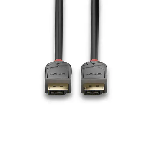 Lindy 36482 cable DisplayPort 2 m Negro
