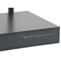LevelOne WAP-6017 punto de acceso inalámbrico 300 Mbit/s Negro