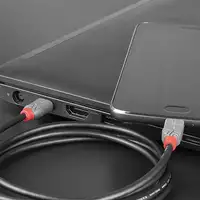 Lindy 36891 cable USB USB 2.0 1 m USB C Micro-USB B Negro, Gris