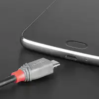 Lindy 36891 cable USB USB 2.0 1 m USB C Micro-USB B Negro, Gris