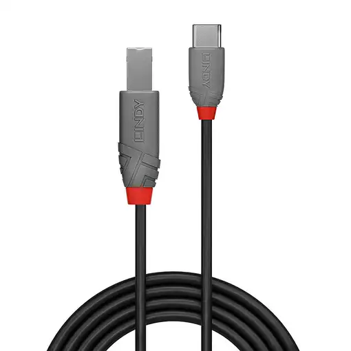 Lindy 36941 cable USB USB 2.0 1 m USB C USB B Negro