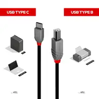 Lindy 36941 cable USB USB 2.0 1 m USB C USB B Negro