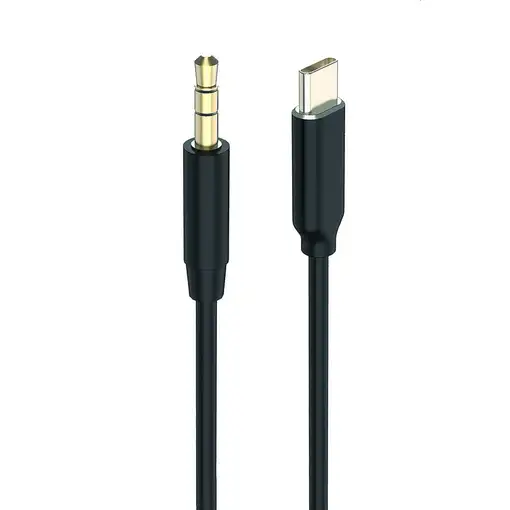 2GO 797219 cable de audio 1 m 3,5mm USB Tipo C Negro