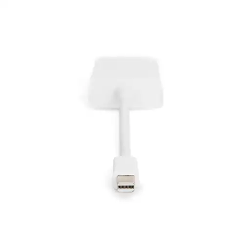 Digitus Cable adaptador DisplayPort