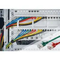 Digitus CAT 6A F-FTP Cable de conexión delgado, 0,3 m, rojo